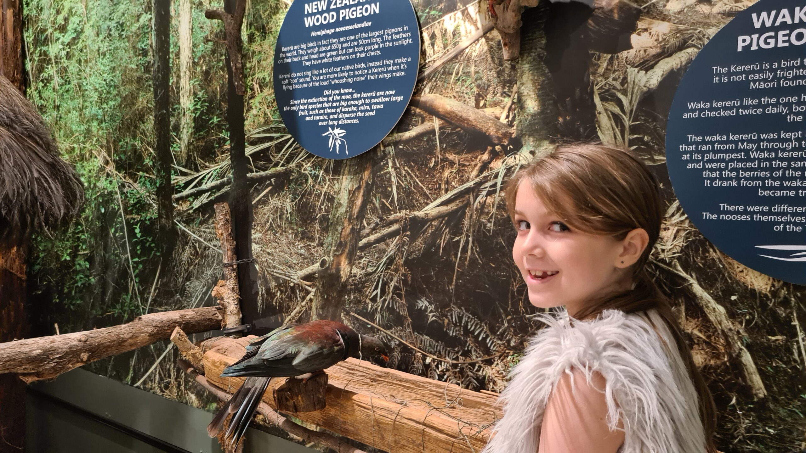 In Our Backyard- Mercury Bay Museum