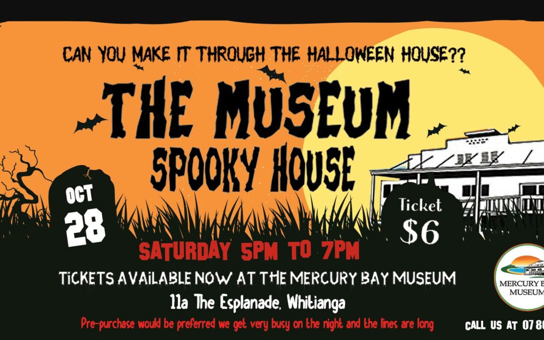 The Museum Spooky House