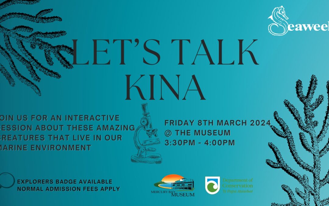 Let’s Talk Kina